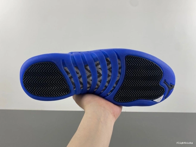 Air CT8013-140 12 Jordan Blueberry 0811